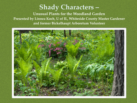 *Shady Characters cover